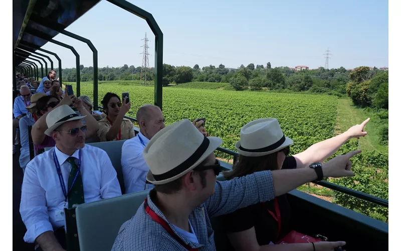Alla scoperta della Franciacorta e del Sebino