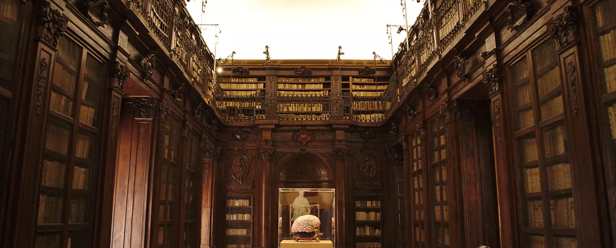 Biblioteca Lucchesiana