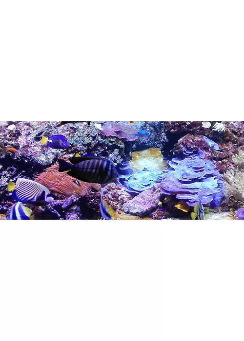 Acquario Civico di Milano