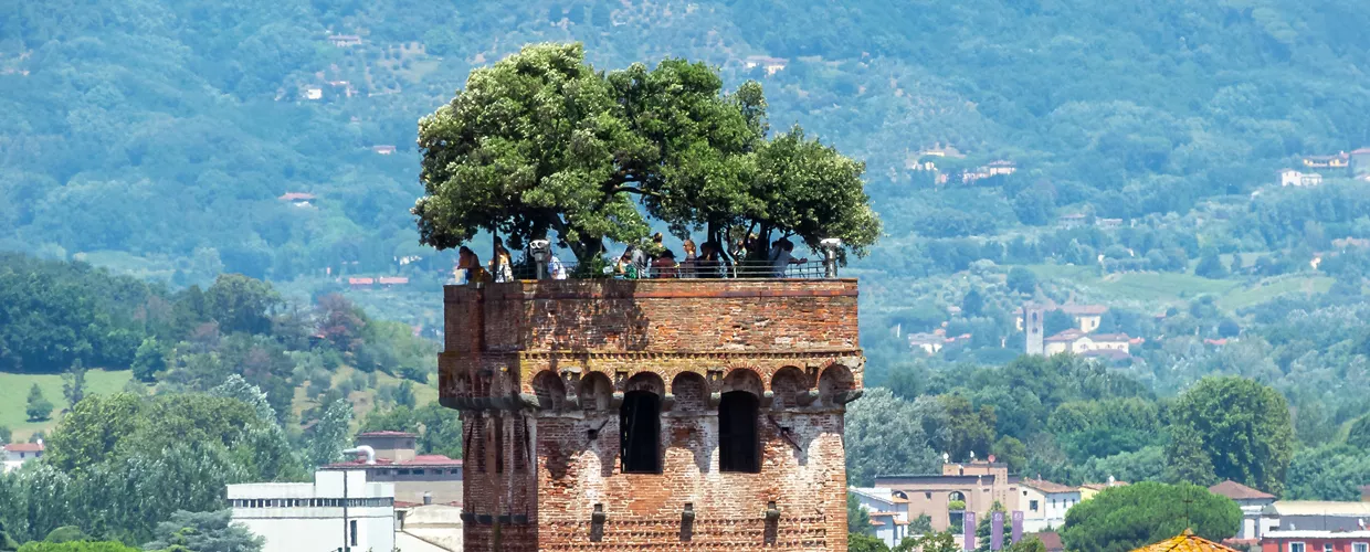 Torre Guinigi