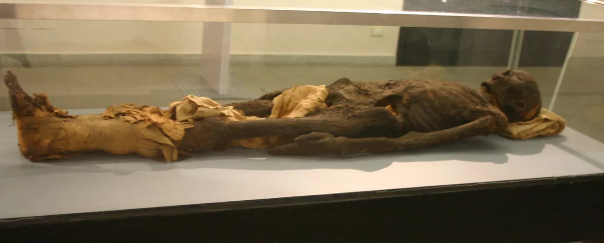 La “mummia del marchese Busca” da Tebe, Museo Egizio Milano