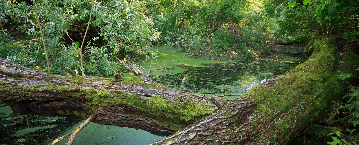 Parco Regionale Lombardo della Valle del Ticino