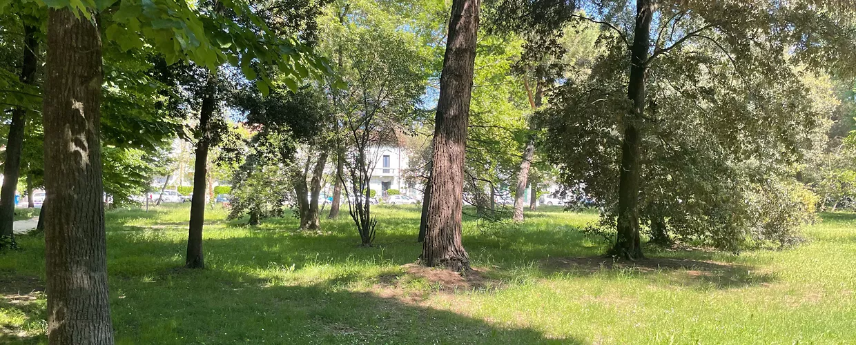 Viareggio, natura nella pineta di Ponente