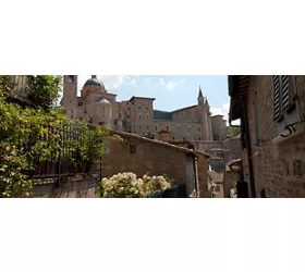 Urbino