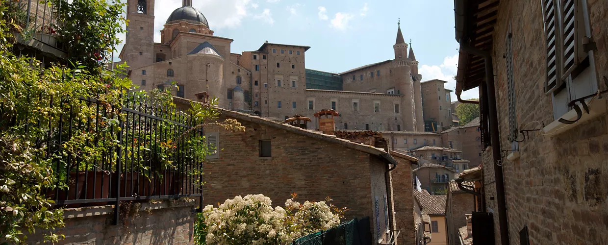 Urbino