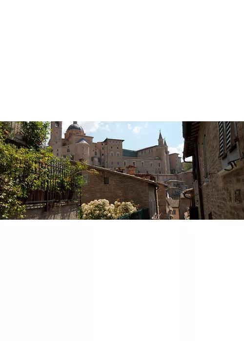 Urbino