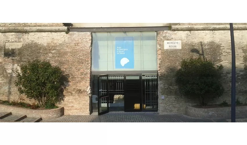 Stomp al Teatro La Fenice di Senigallia