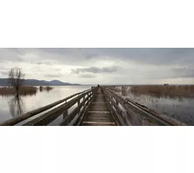 Pontile in legno tra i canneti dell’Oasi Naturalistica La Valle