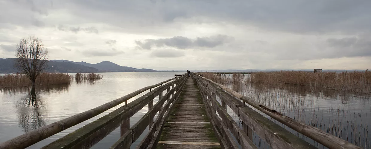 Pontile in legno tra i canneti dell’Oasi Naturalistica La Valle