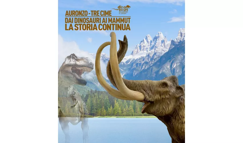Auronzo Tre Cime. Dai dinosauri ai mammut, la storia continua