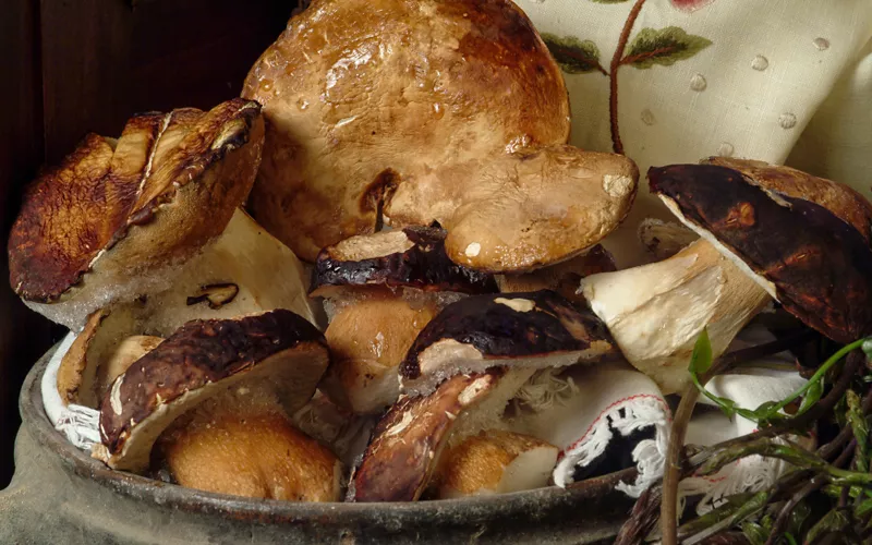 Dolce autunno siciliano