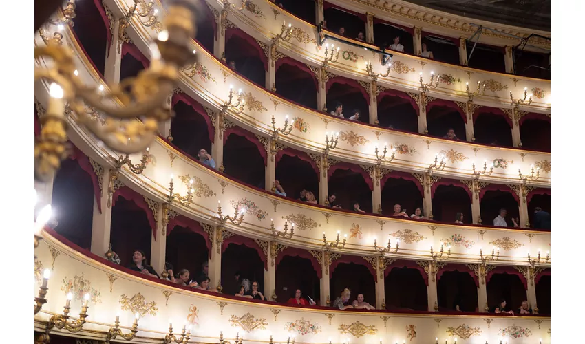 Pesaro per Santa Cecilia