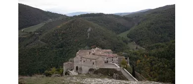 Elcito