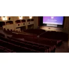 50 giorni cinema Firenze