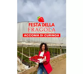 Festa della Fragola, Acconia di Curinga