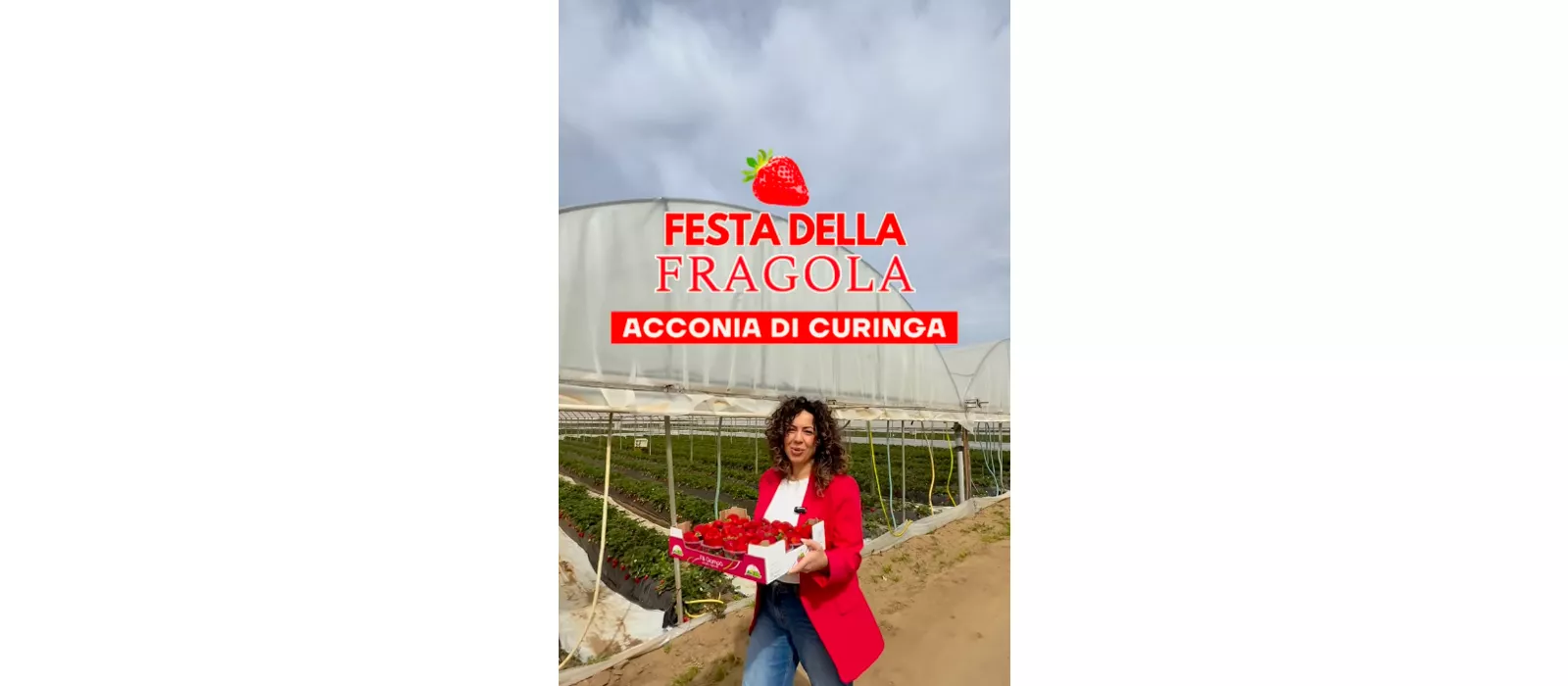 Festa della Fragola, Acconia di Curinga