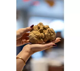 Foire Internationale de la Truffe Blanche d’Alba 
