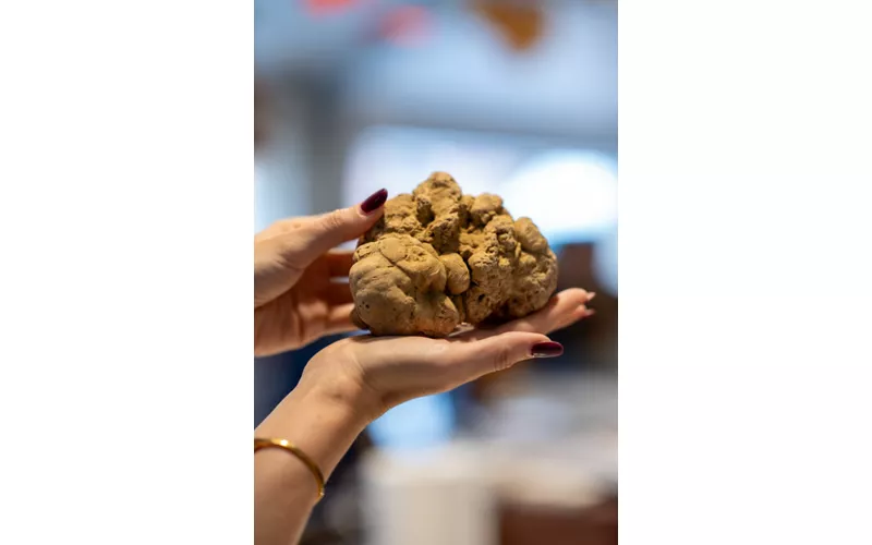 Fiera Internazionale del Tartufo Bianco d’Alba 