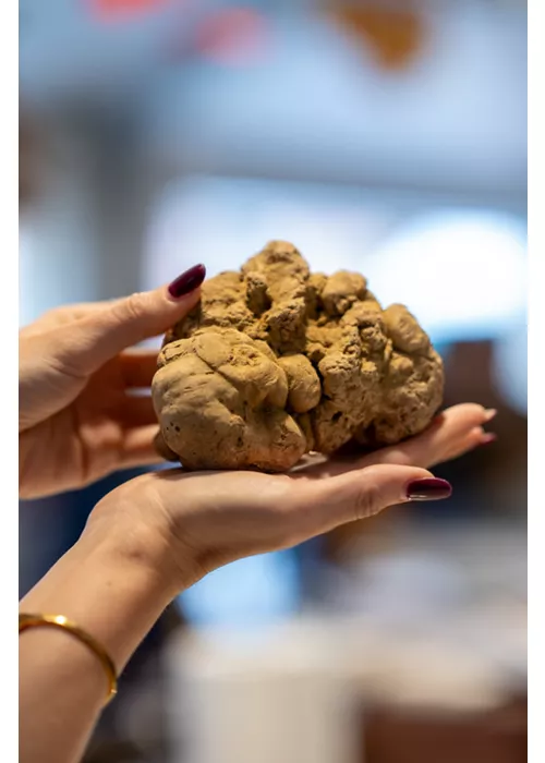 95esima Fiera Internazionale del Tartufo Bianco d’Alba 