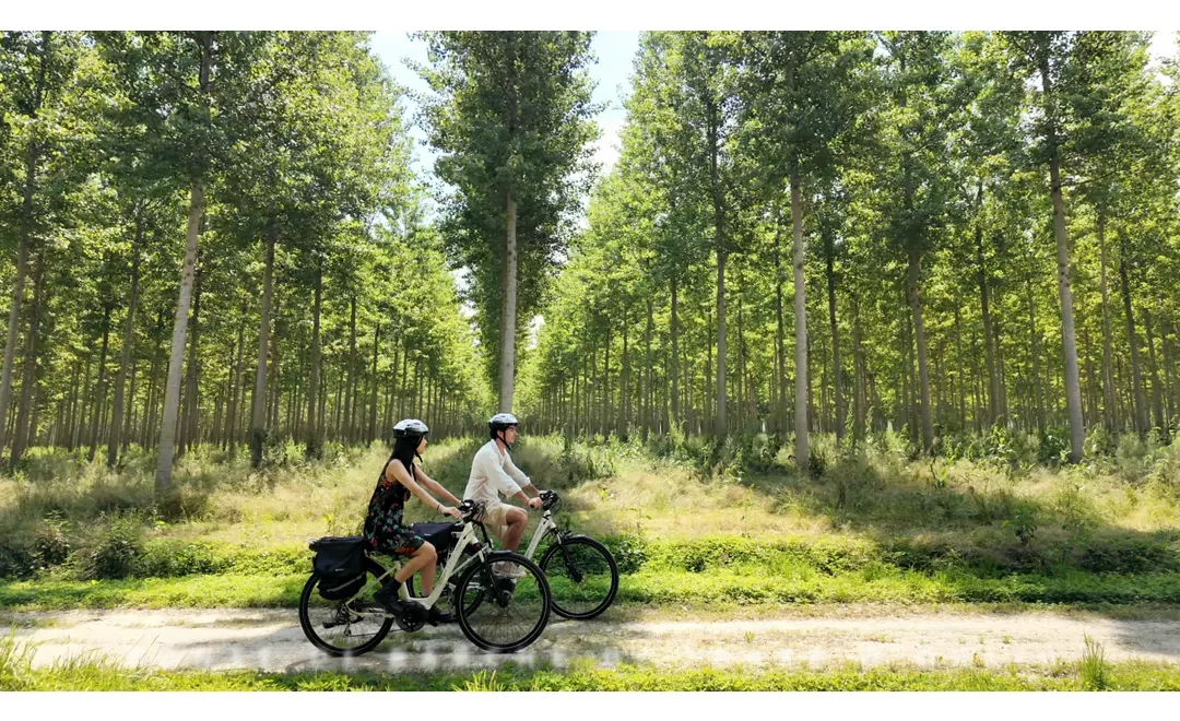 Foto-itinerario-ciclovia.png