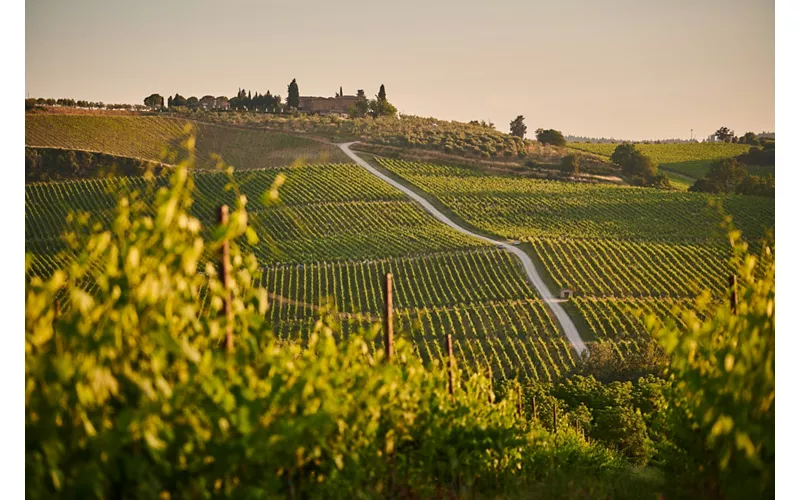 Piemonte: l’Erbaluce accompagna il cammino