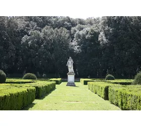 Forme nel Verde