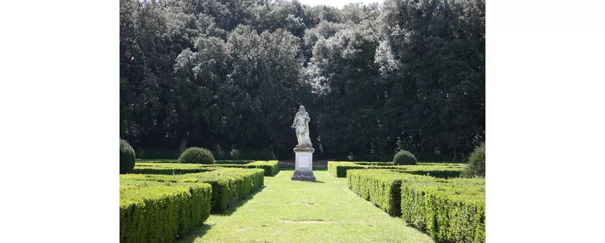 Forme nel Verde