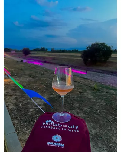 Vinitaly and the City Sibari