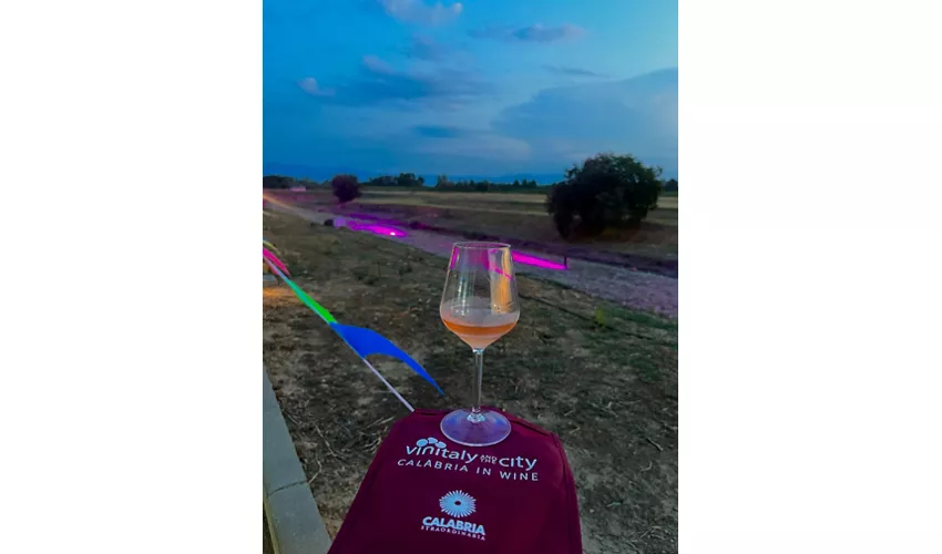 Vinitaly and the City Sibari