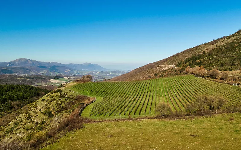 What is heroic viticulture?
