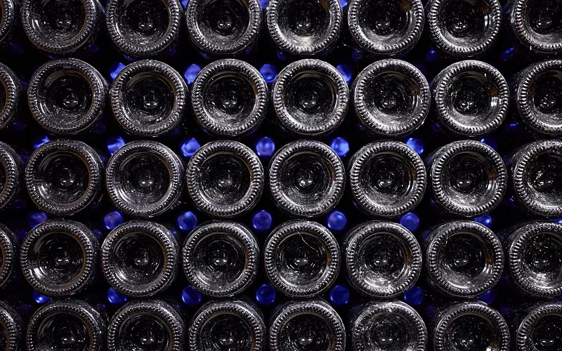 Vissanello: a viticultural legacy of the Sibillini Mountains