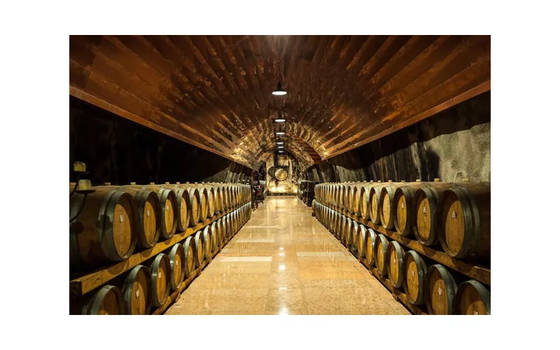 L’arte delle bollicine