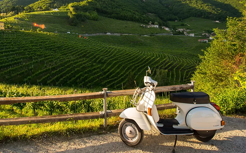 Anfahrt zur Barolo-Kapelle