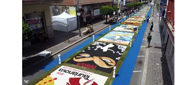 Infiorata di Taurianova