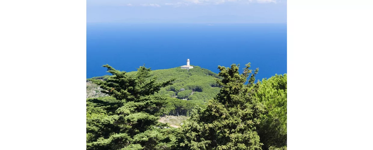 Giglio Castello