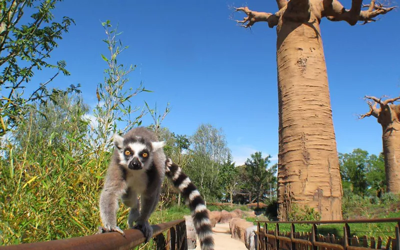 Il bioparco