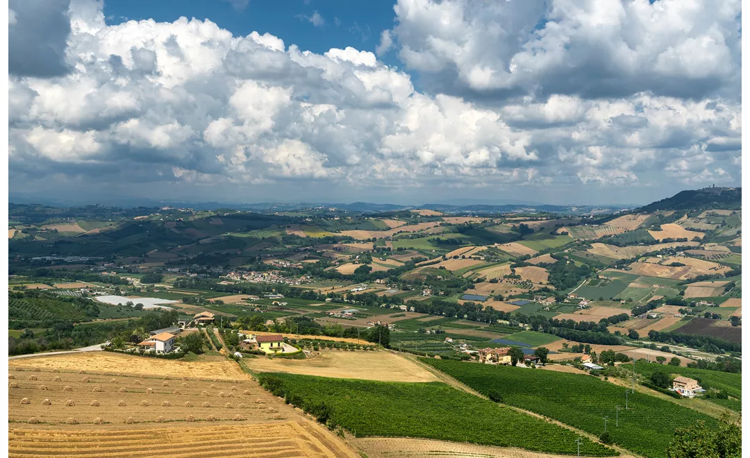 Panorama della campagna marchigiana nei pressi di Montefiore dell’Aso