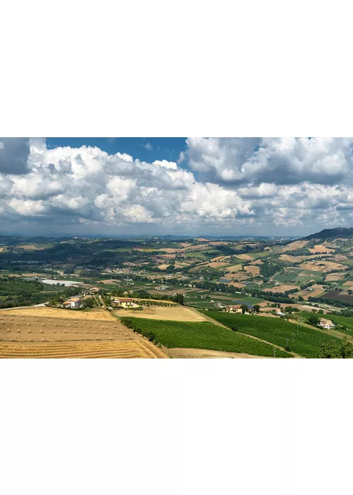 Panorama della campagna marchigiana nei pressi di Montefiore dell’Aso