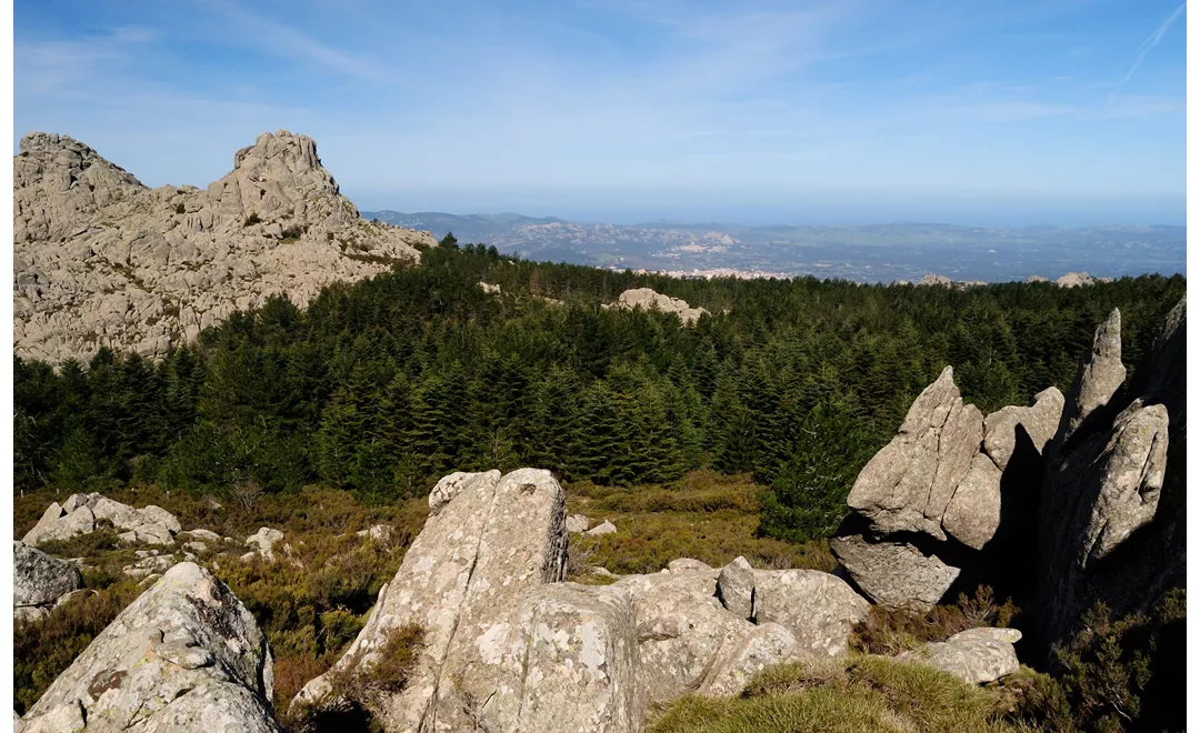 Le rocce granitiche che caratterizzano il Limbara, il massiccio che chiude a sud la Gallura. 