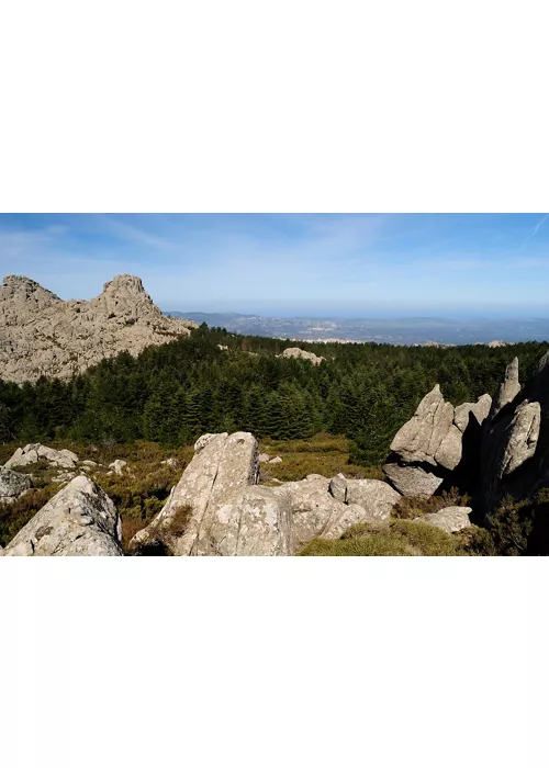 Le rocce granitiche che caratterizzano il Limbara, il massiccio che chiude a sud la Gallura. 