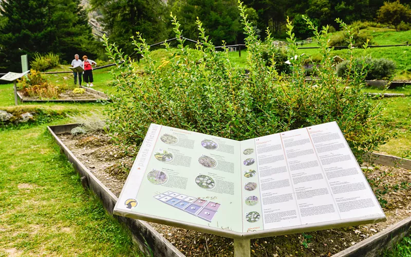 Giardino botanico alpino Paradisia, Valle d’Aosta