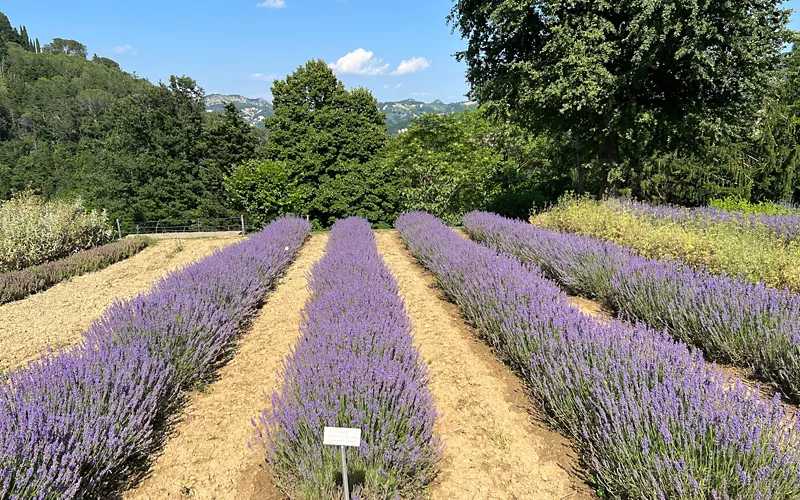 Giardino delle Erbe "Augusto Rinaldi Ceroni", Emilia Romagna