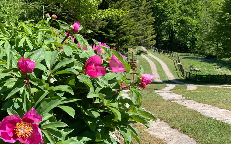 Giardino della Flora Appenninica, Molise