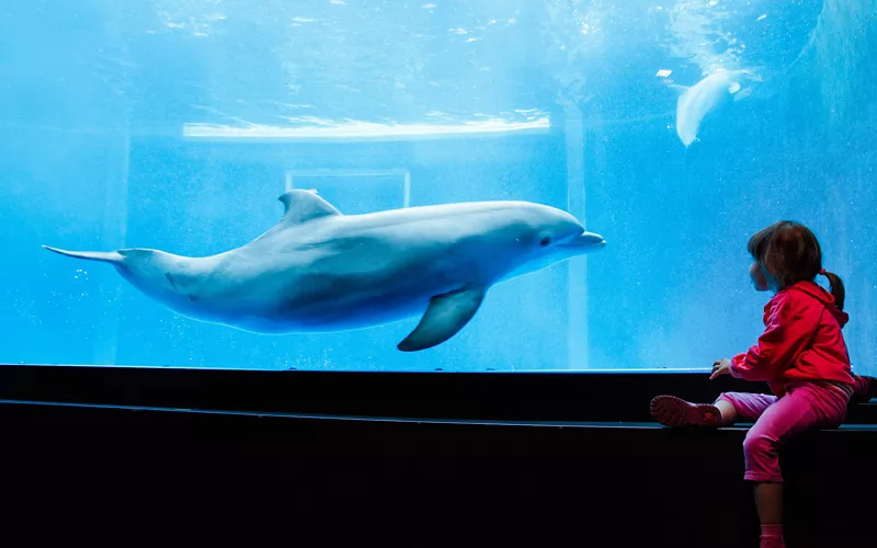 L’Acquario di Genova