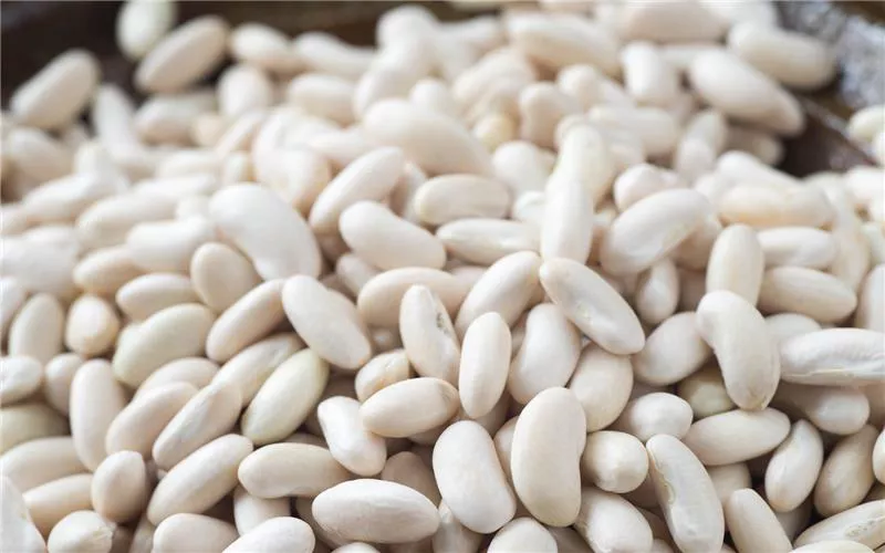 Die Kekse der Herzogin und die Piattella aus dem Canavese in San Giorgio