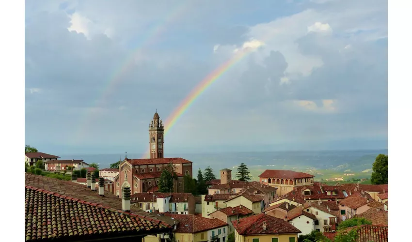 Monforte d'Alba