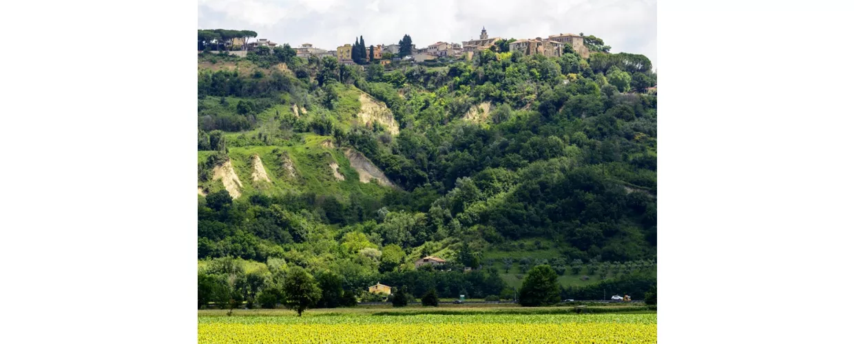 Foglia