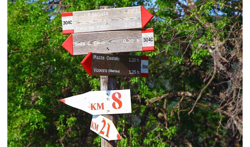 Rediscovering nature a stone's throw from Rome with the 39th Monti Lucretili Ecological Cultural Marathon