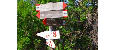 Rediscovering nature a stone's throw from Rome with the 39th Monti Lucretili Ecological Cultural Marathon