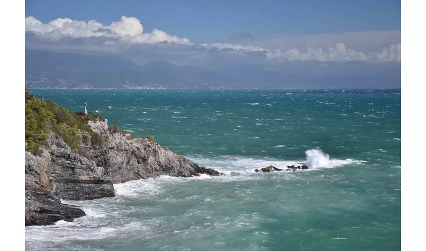 Area Marina Protetta Isola di Bergeggi
